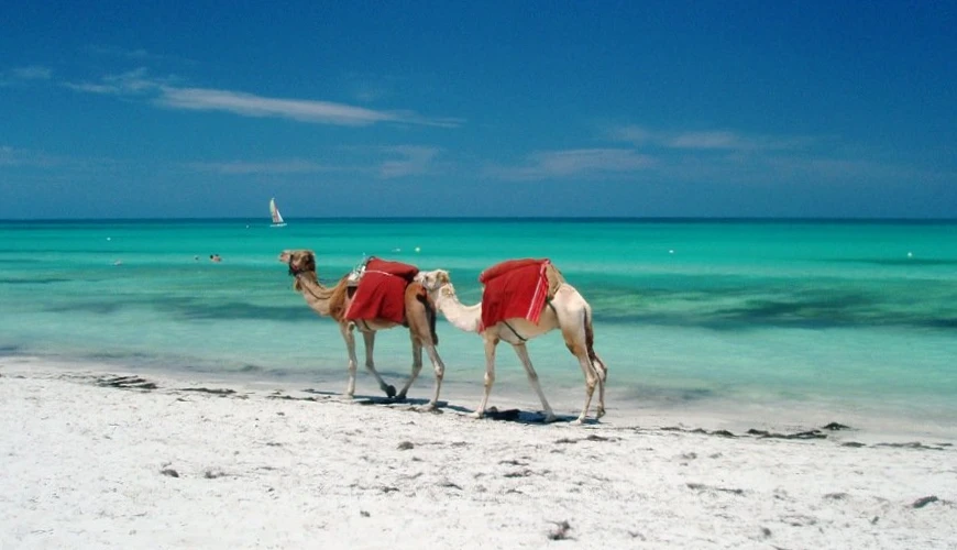 Discover the Most Beautiful Beaches of Djerba by Renting a Car with Rania Rent Car